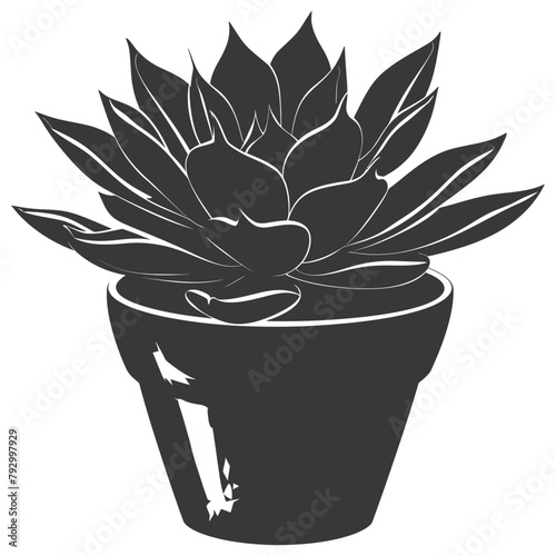 Silhouette Succulent plant black color only