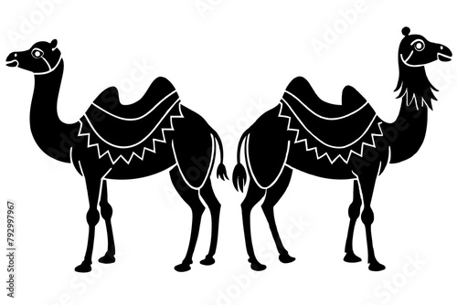 Sacrificial Camel animals for Eid-ul-Azha Vector Illustration Silhouetted on white background photo