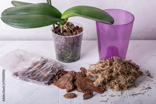 Pieces of pine bark and sphagnum moss - components of the substrate for growing orchids isolated on a white background.