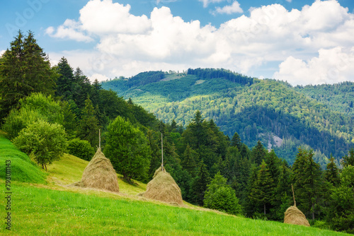 rural landscape of transcarpathia, ukraine in summer. haystacks on the grassy hill. mountainous carpathian landscape on a sunny day with clouds on the sky