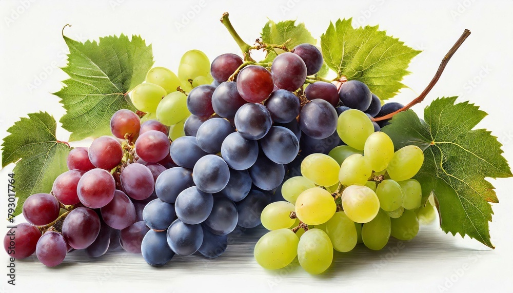 Fototapeta premium Set of grapes of different varieties and colors isolated on a white background.
