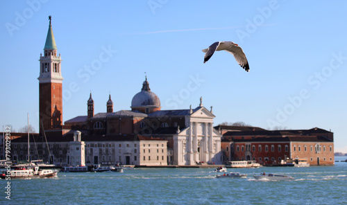 Sea gull bird with spread wings in flight and the basilica of san giorgio of venice in the background photo
