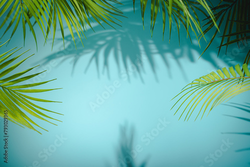 background with palm shadow