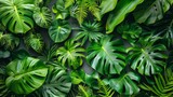 Vibrant Tropical Foliage Scenery Generative AI