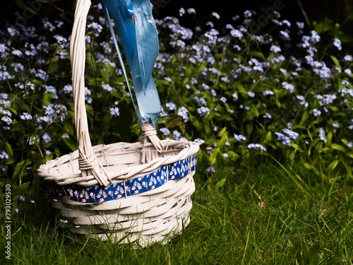 Woven basket in garden of forget me not flowers
