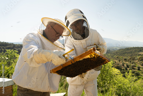 Two beekeepers looking at wax frame full of bees, looking for the queen, two different style protective suits, one full and one half.