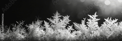 Exquisite Frost Patterns Forming Natural Artwork on Glass
