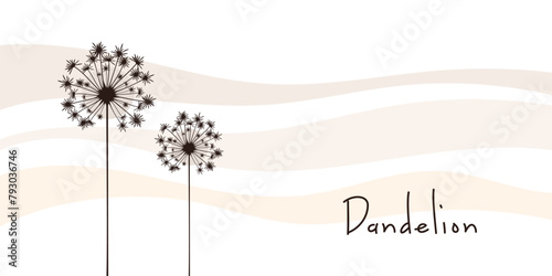 Vector illustration dandelion time. Black Dandelion seeds blowing in the wind. The wind inflates a dandelion isolated on white background.