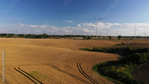 Yellow young fields with windmills. The concept and theme of ecology, energy, agriculture