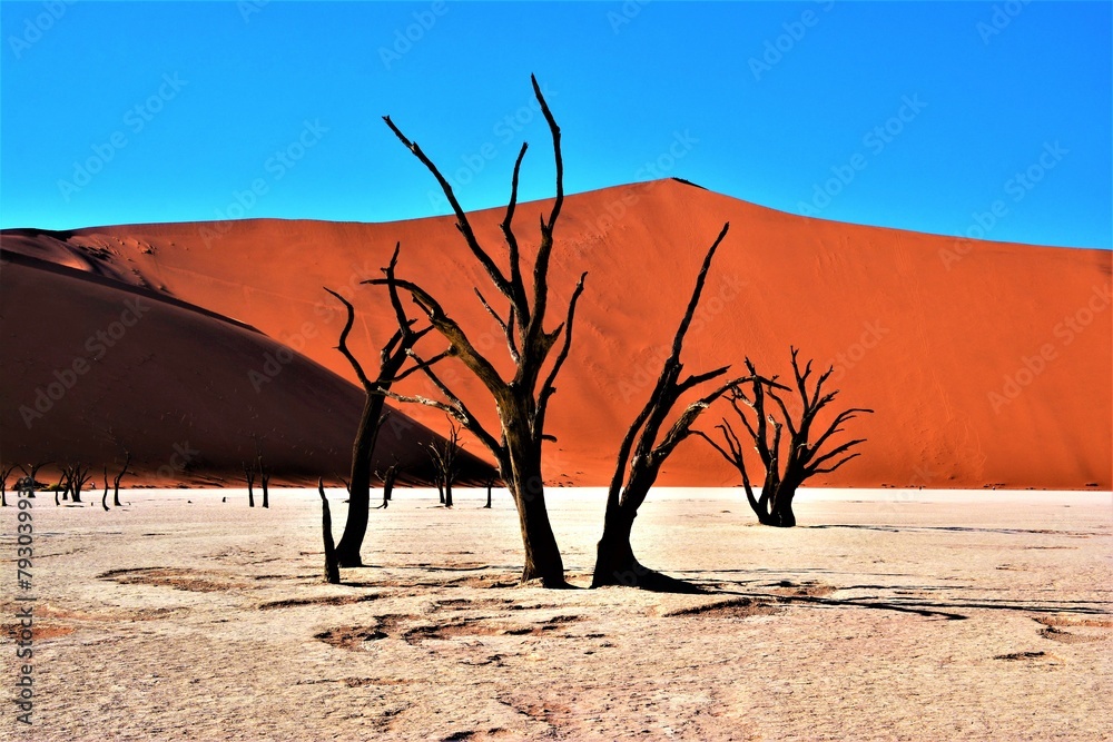 Sand dunes surrounding Deadvlei which is a white clay pan located in the Namib-Naukluft Park (western Namibia, Africa) Sand dunes surrounding Deadvlei which is a white clay pan located in the Namib-Naukluft Park (western Namibia, Africa)