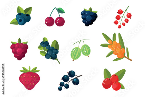 Berries vector flat design. Berries icons. 