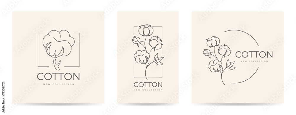 Set of three posters with natural organic cotton drawn line art on a beige background. Flat doodle style. Vector illustration.