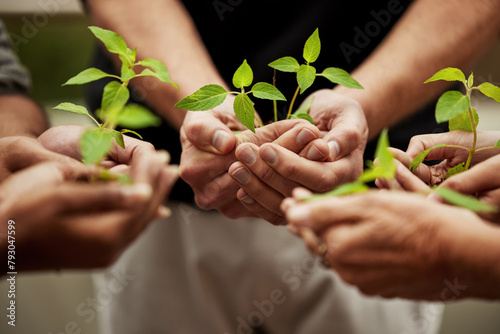 Hands, plants and grow with people or team, business and eco friendly for earth day and collaboration for growth. Investment, environment and community service, nurture or agro for sustainability photo