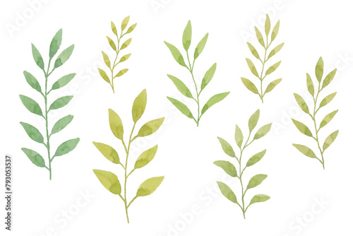 Watercolor leaves illustration set - green leaf branches collection for wedding, greetings, stationary, wallpapers, fashion, background. olive, green leaves, Eucalyptus etc