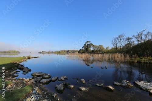 Killarney National Park, County Kerry, Ireland