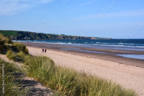 A young man and woman with a dog are walking along the picturesque wide beach. View in perspective