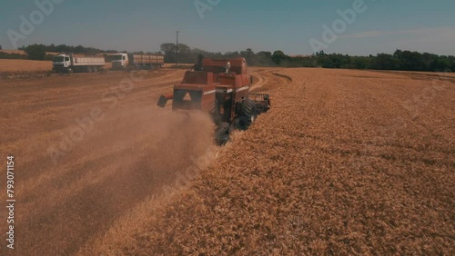massey ferguson combine wheat cultivation photo