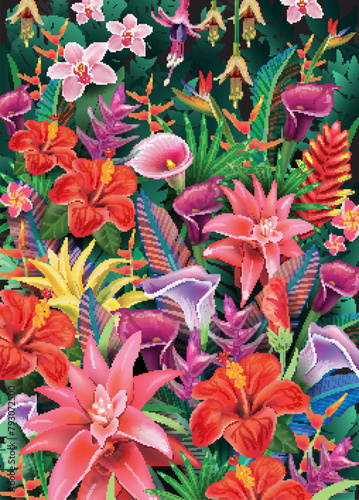 Background from tropical plants and exotic flowers, vector illustration 