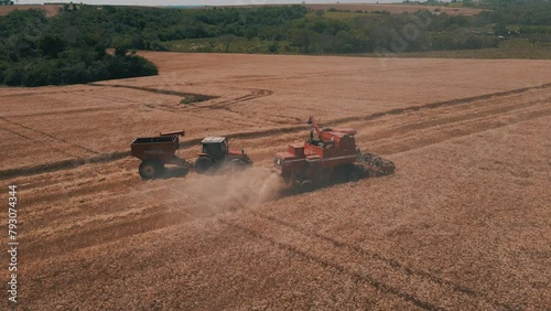 wheat harvest massey ferguson photo