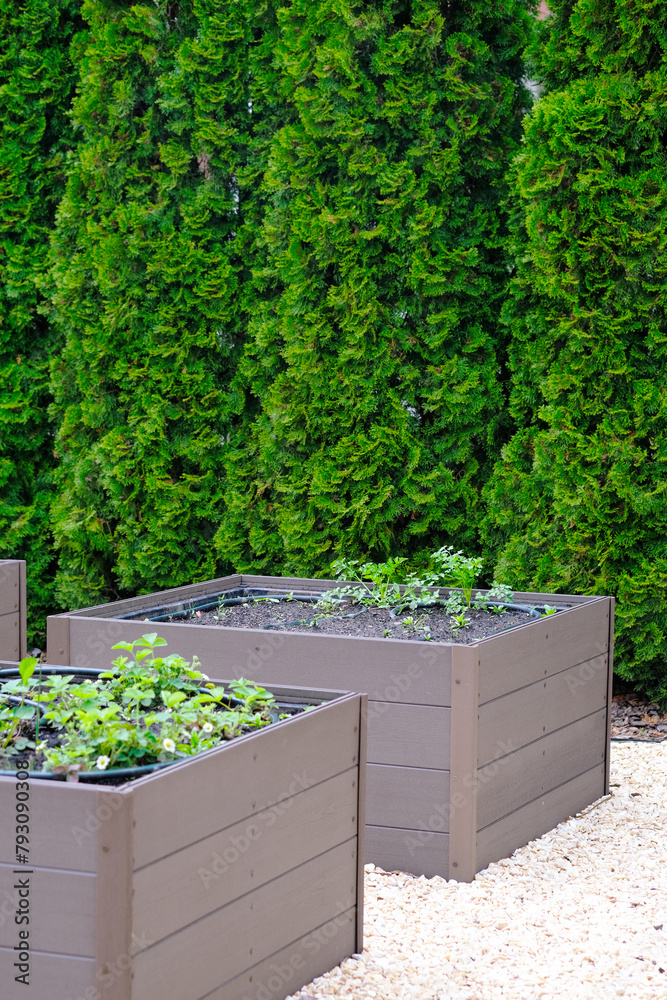 Four Planters Aligned Next to Each Other Four Planters Aligned Next to Each Other