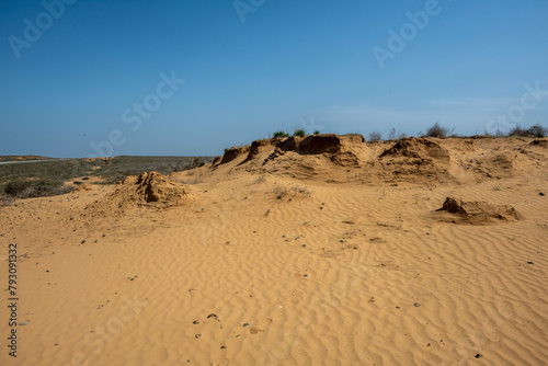 beautiful landscapes of the blooming Kalmyk steppe on a spring day photo