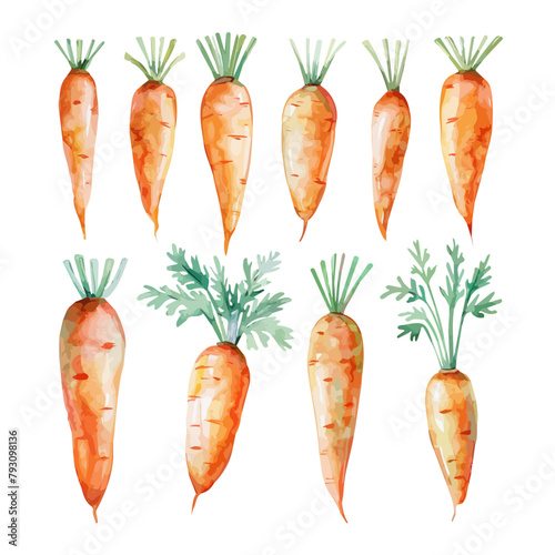 Watercolor clipart vector of a carrot, isolated on a white background, carrot vector, Illustration painting, Graphic logo, drawing design art