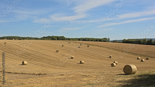 Hills with mown fields with cylindrical haystacks and forests . Saint Hubert, Wallonia, Belgium  photo