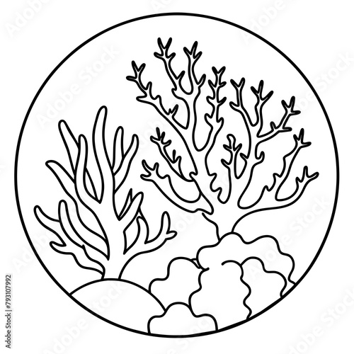 Types of reef vector image