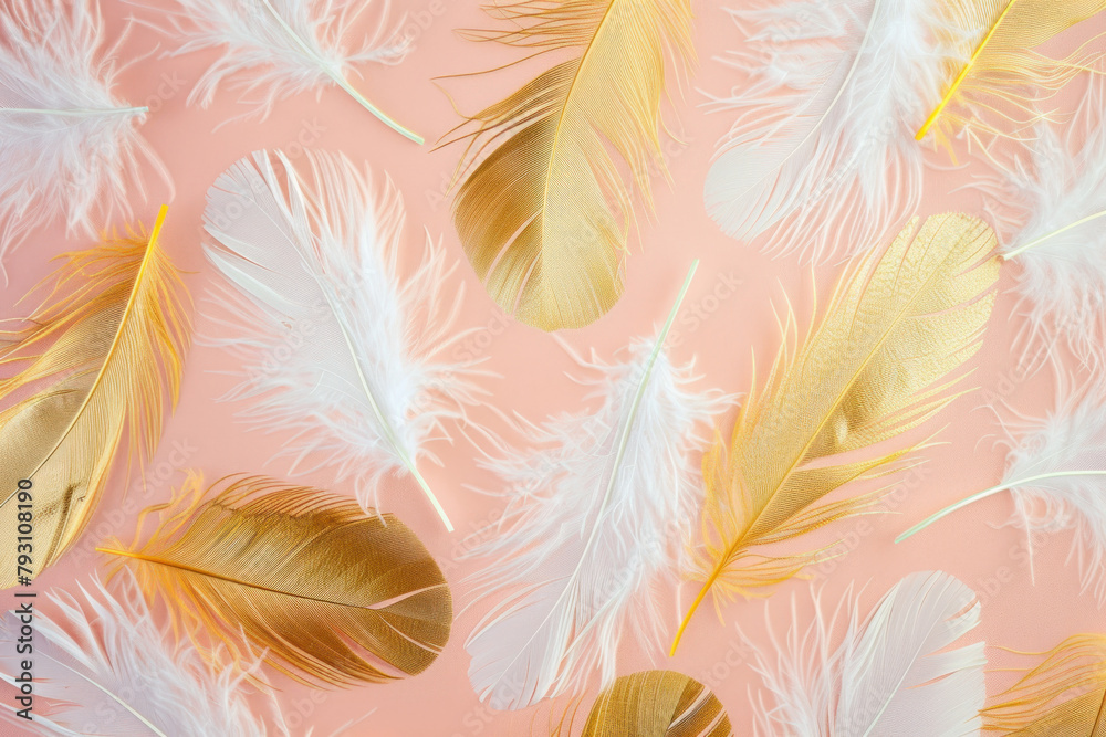 White and Gold Feathers on Pink Background