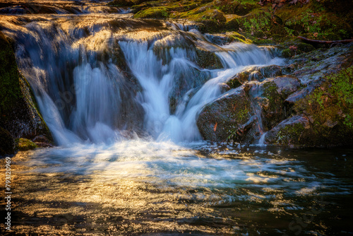 Fototapeta Naklejka Na Ścianę i Meble -  Rocky Fork Creek in the Cherokee National Forest in Tennessee, USA