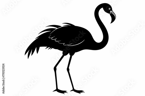 Flamingo Black Silhouette on White Background.