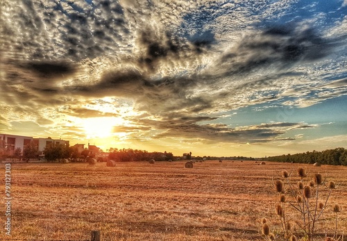 Fieno della piana del sole