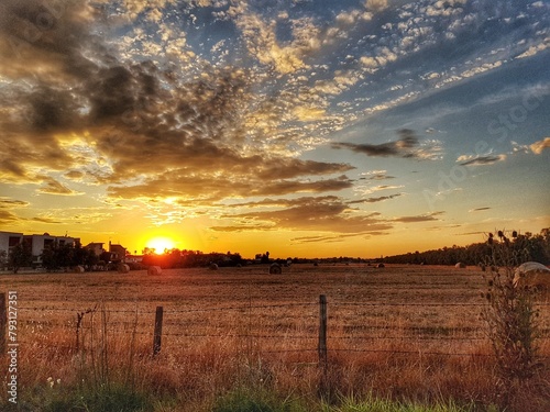 Campo della piana del sole