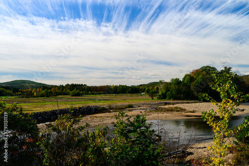 landscape with river and forest