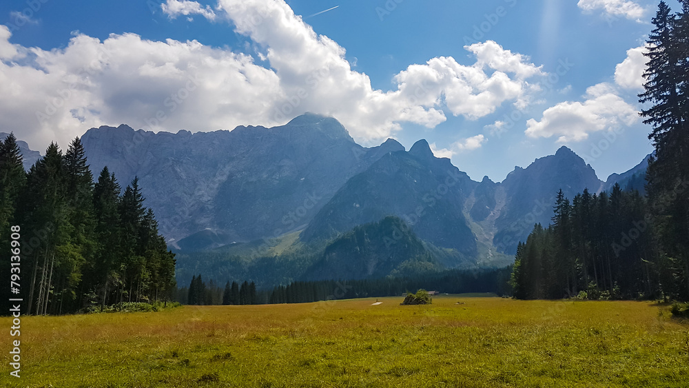Scenic view of lush green alpine meadow and forest in Tarvisio, Friuli-Venezia Giulia, Italy, Europe. View of Mount Mangart and massive peaks of Julian mountain range. Seen from lake Laghi di Fusine