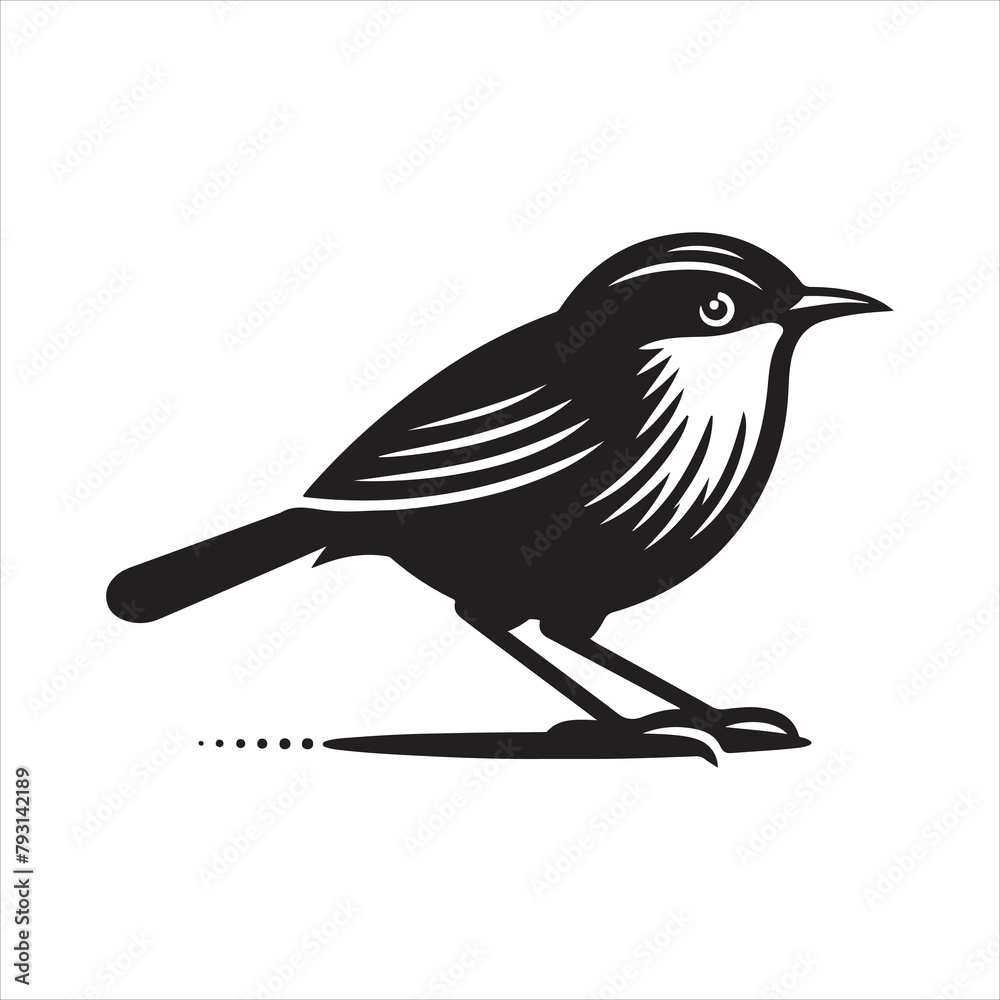 Obraz premium Abbott's babbler vector