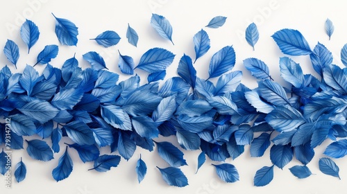   A cluster of blue leaves lies on a white background; one detaches from the top photo