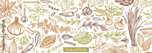 Hand drawn spices and herbs. Set. Vanilla, cinnamon, garlic, ginger, green onion, basil, rosemary, thyme, pepper,  badian, cloves, chili. Mulled wine. Template.