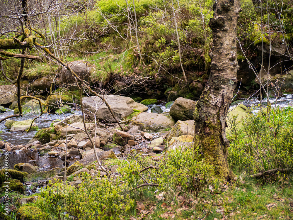 View of water running down small rocky stream, Autumn creek woods with and rocks in forest mountain. View of water running down small rocky stream, Autumn creek woods with and rocks in forest mountain.
