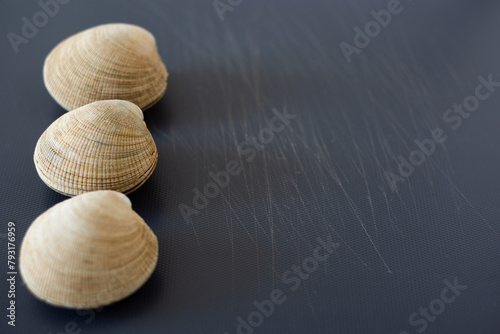 three clams on a grey board