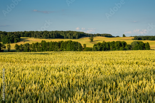 Krajobraz rolniczy z widokiem na górki