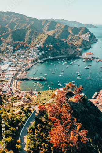 Colorful Vertical View of Iconic Avalon