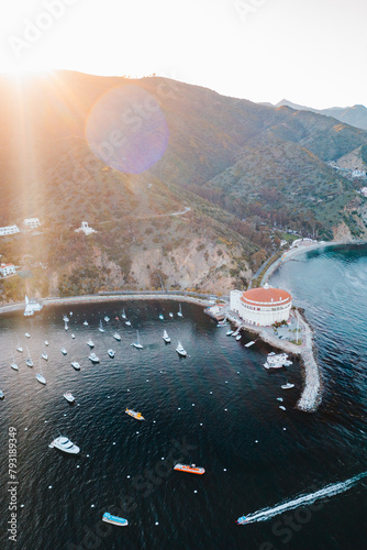 Vertical Panorama of Boat Pulling into Marina