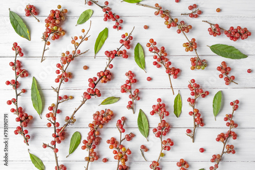 Branches with red sea buckthorn berries, silver Shepherdia (lat. Shepherdia argentea) on a white painted surface. Decorative background.