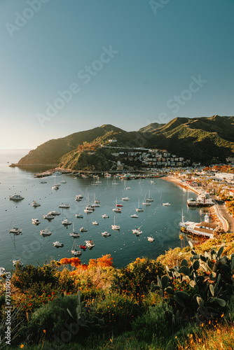 Vertical Seascape of Avalon Bay at Sunrise
