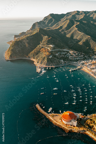 Catalina Vertical Panorama
