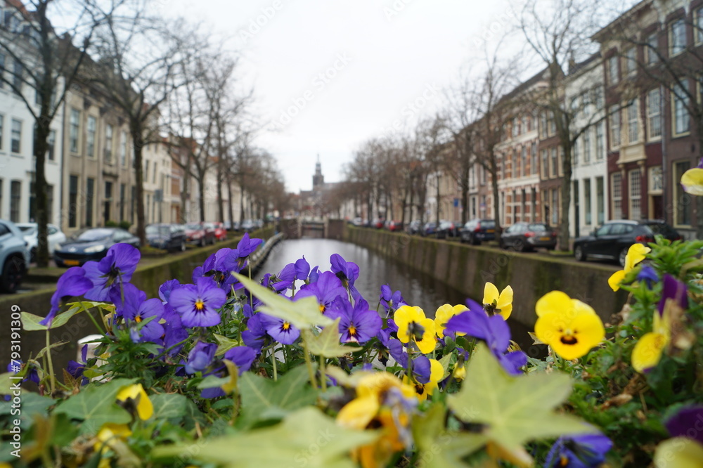 Flowers by the canal in the city of Gouda