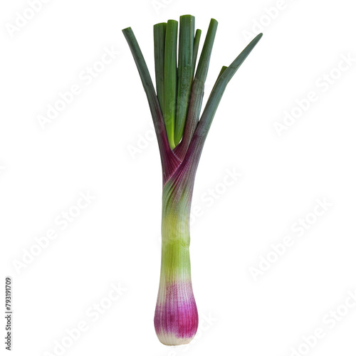 A single vibrant leek standing alone against a transparent background