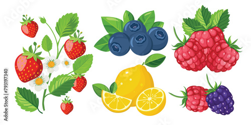 Fruits and berries set. Strawberry, raspberry, blueberry, lemon. Vector illustration