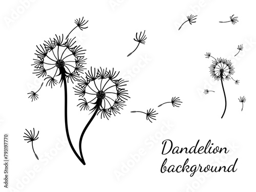 Dandelion_background3-46.eps
